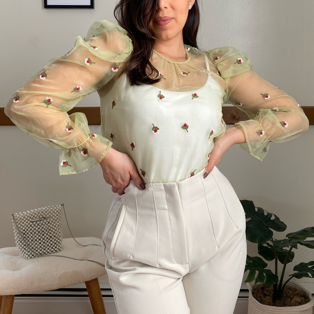 Zara Sheer Embroidered Blouse